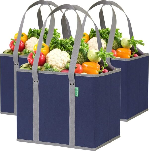 Reusable Shopping Bags Replace