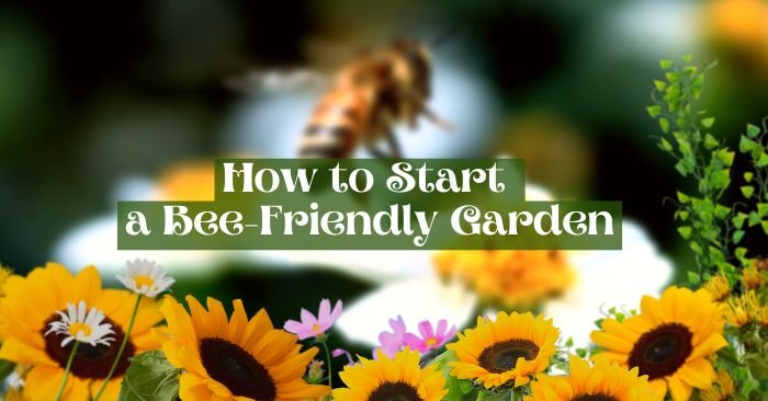 How to Start a Bee-Friendly Garden & Why Bees Are Important