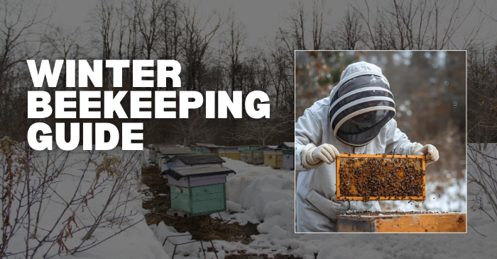 How to Keep Your Bees Alive All Winter (Beginner Guide!)