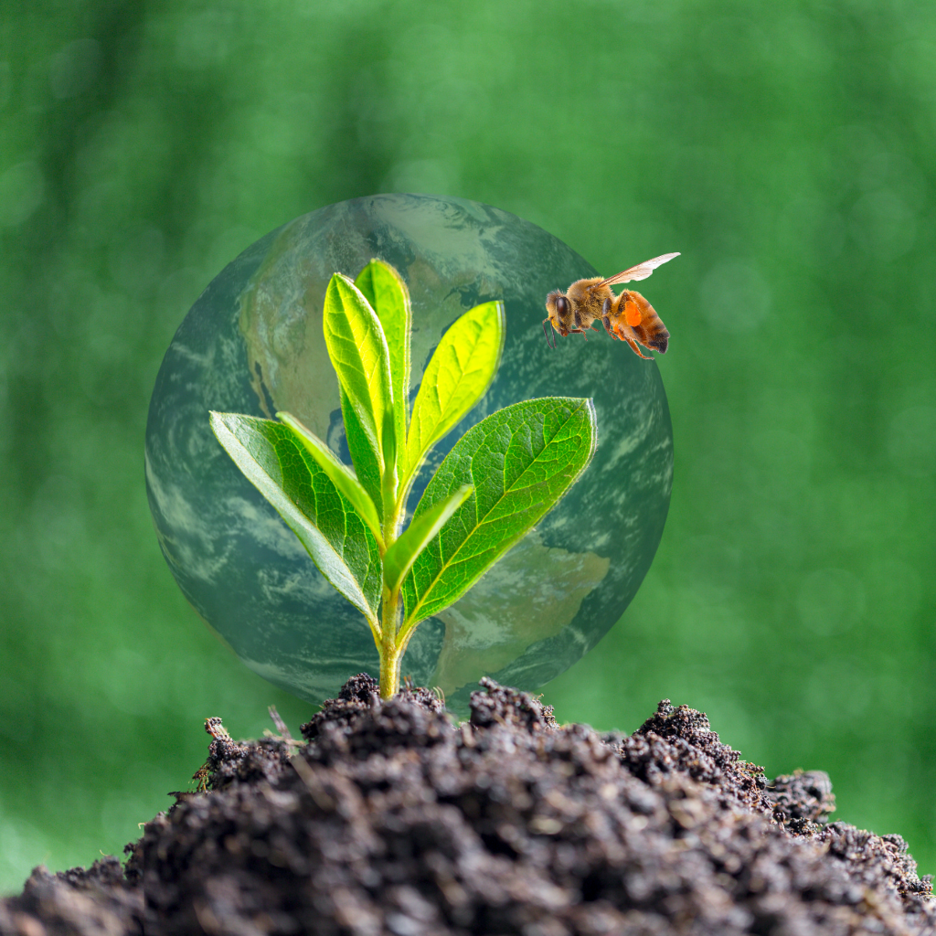 A close-up of a small green plant sprouting from rich soil with a transparent Earth globe behind it. A honeybee hovers beside the young leaves, symbolizing environmental protection, growth, and the importance of pollinators. The background is a soft green bokeh, creating a peaceful and eco-friendly atmosphere.